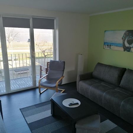 Apartman Terassa Donji Milanovac Dış mekan fotoğraf