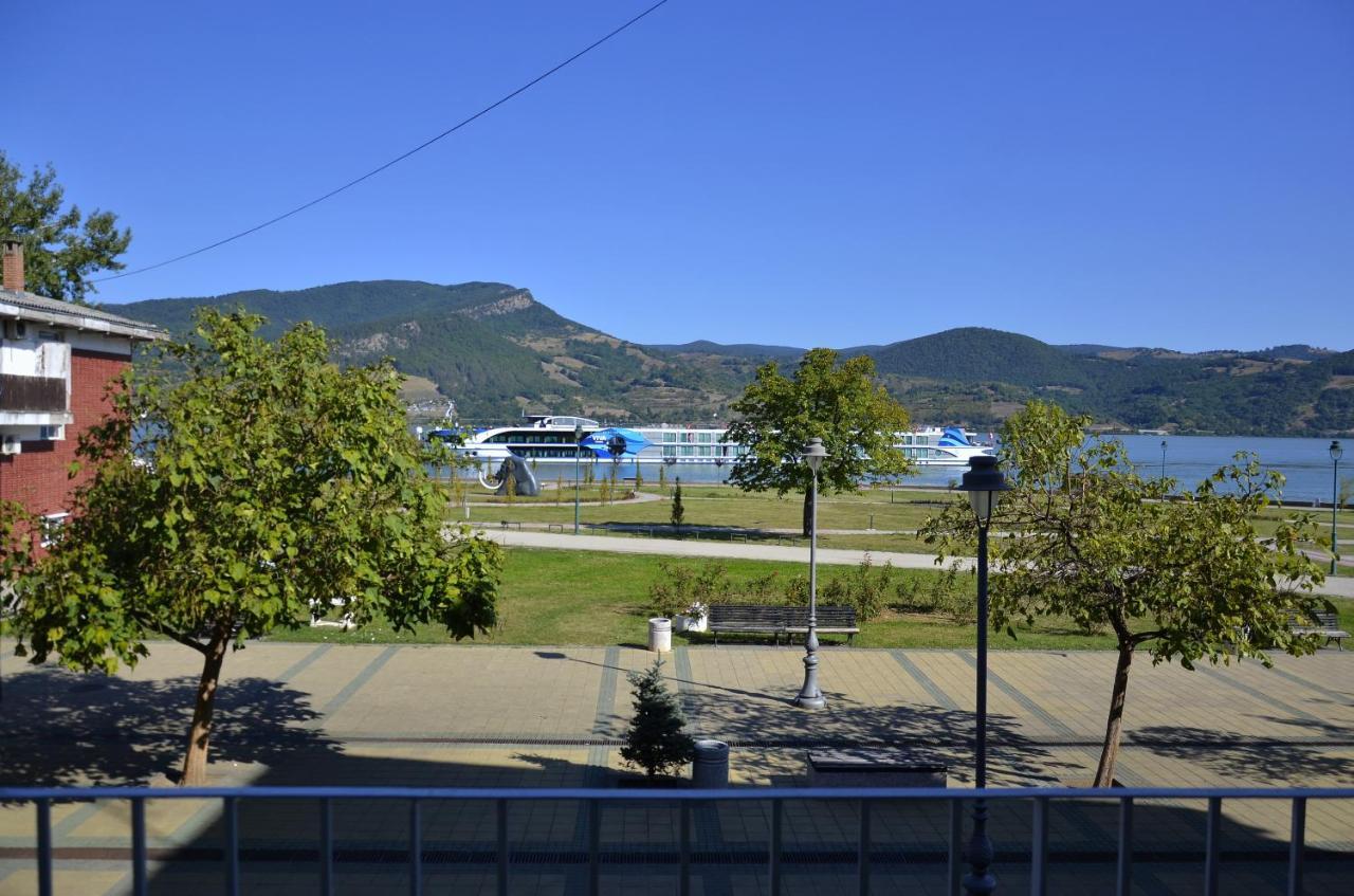 Apartman Terassa Donji Milanovac Dış mekan fotoğraf