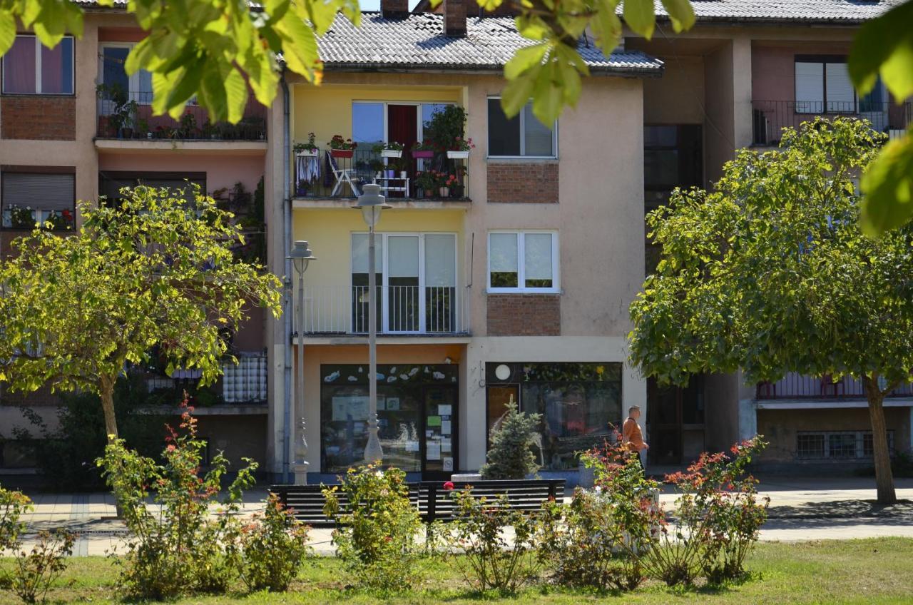 Apartman Terassa Donji Milanovac Dış mekan fotoğraf