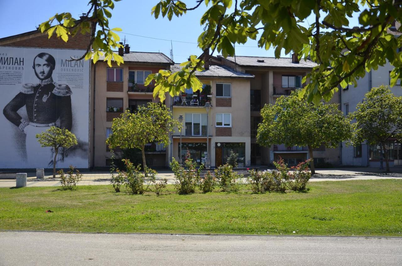 Apartman Terassa Donji Milanovac Dış mekan fotoğraf
