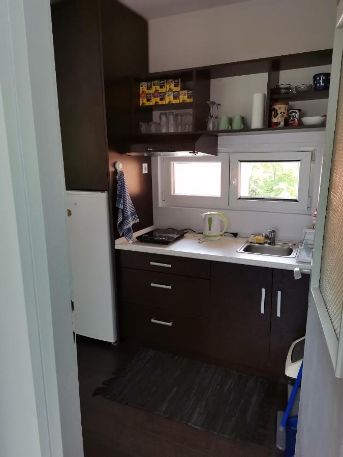 Apartman Terassa Donji Milanovac Dış mekan fotoğraf