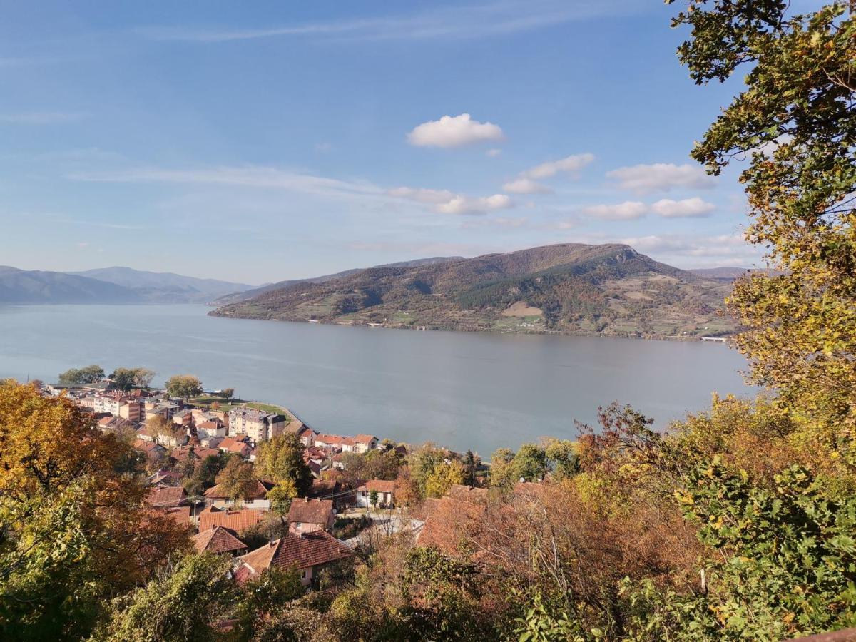 Apartman Terassa Donji Milanovac Dış mekan fotoğraf