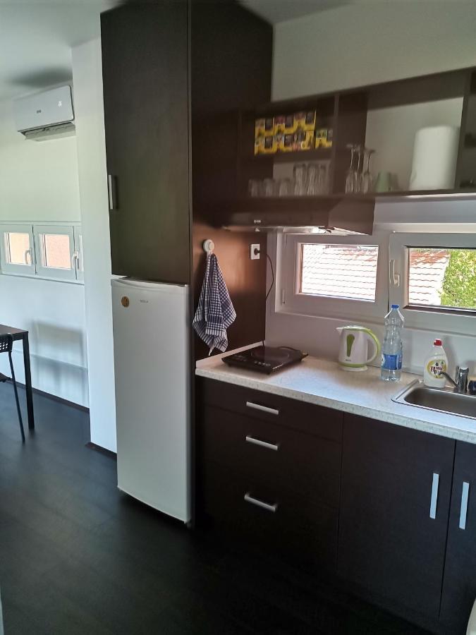 Apartman Terassa Donji Milanovac Dış mekan fotoğraf