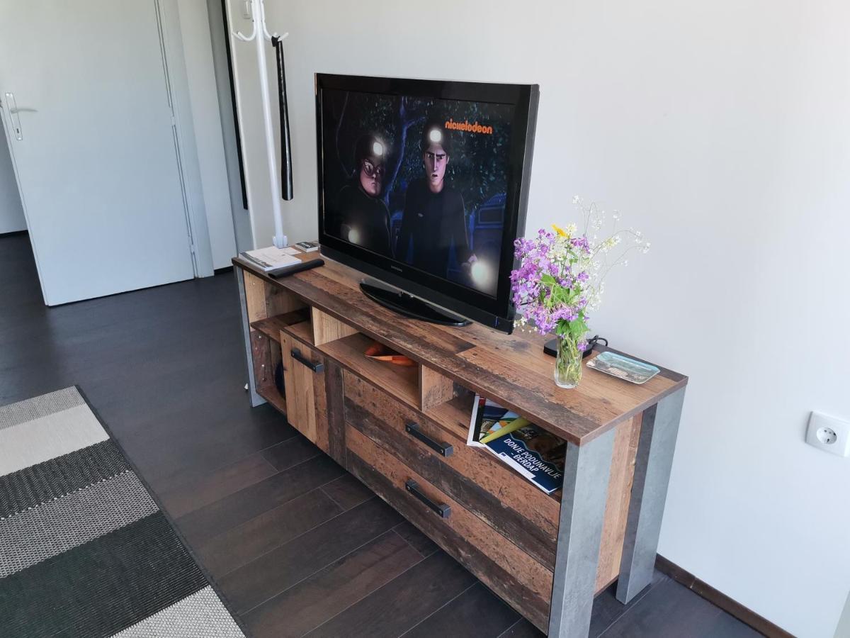 Apartman Terassa Donji Milanovac Dış mekan fotoğraf