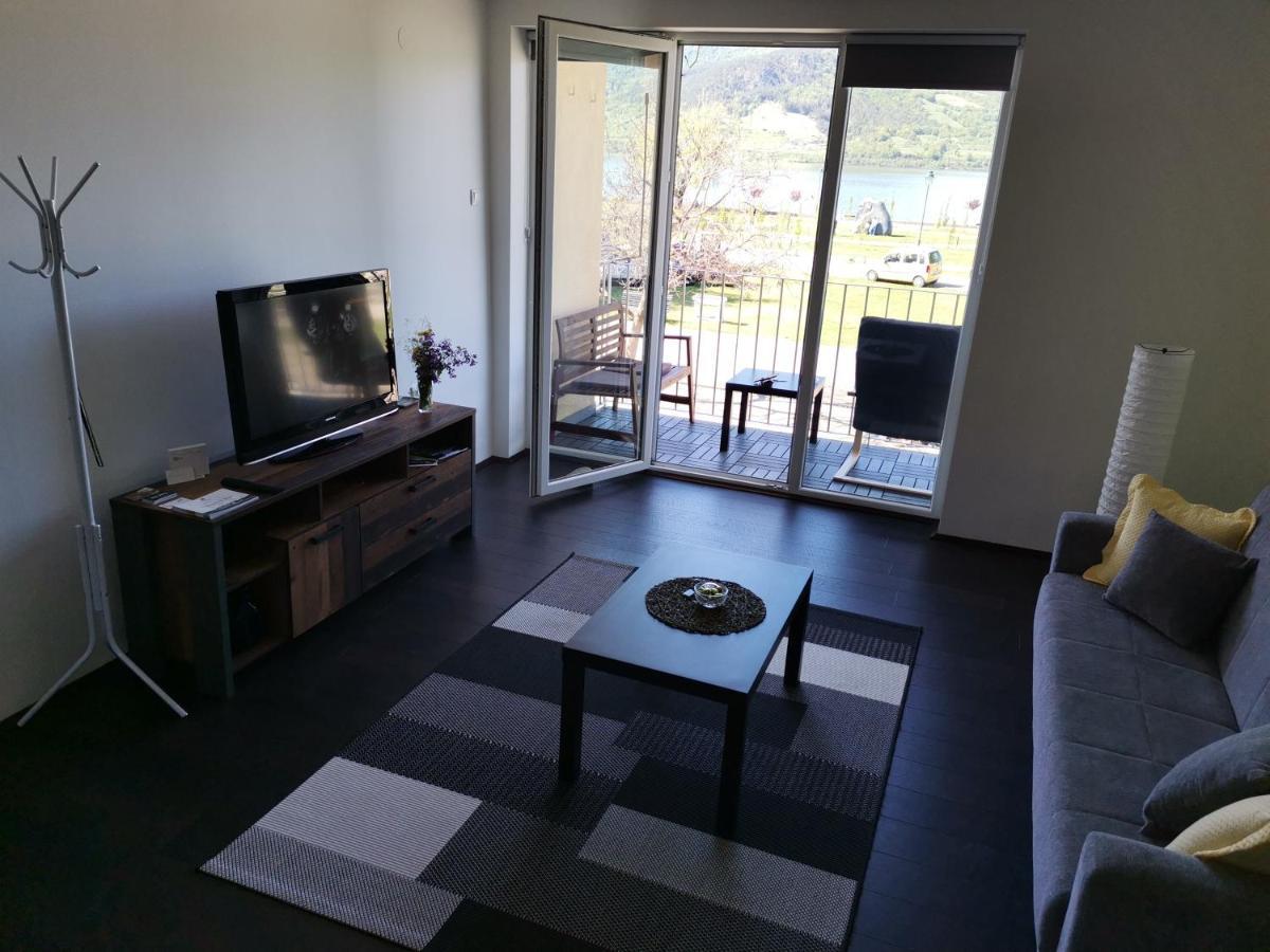 Apartman Terassa Donji Milanovac Dış mekan fotoğraf