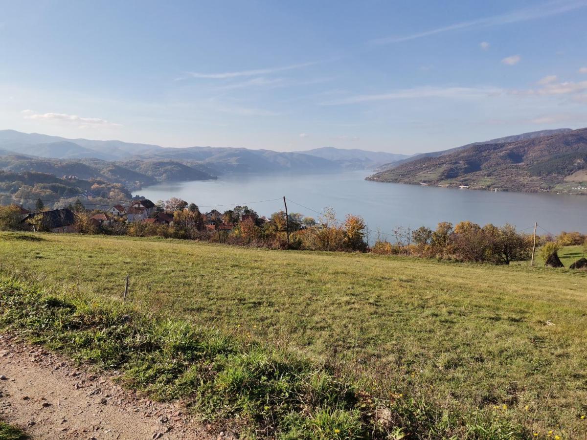 Apartman Terassa Donji Milanovac Dış mekan fotoğraf
