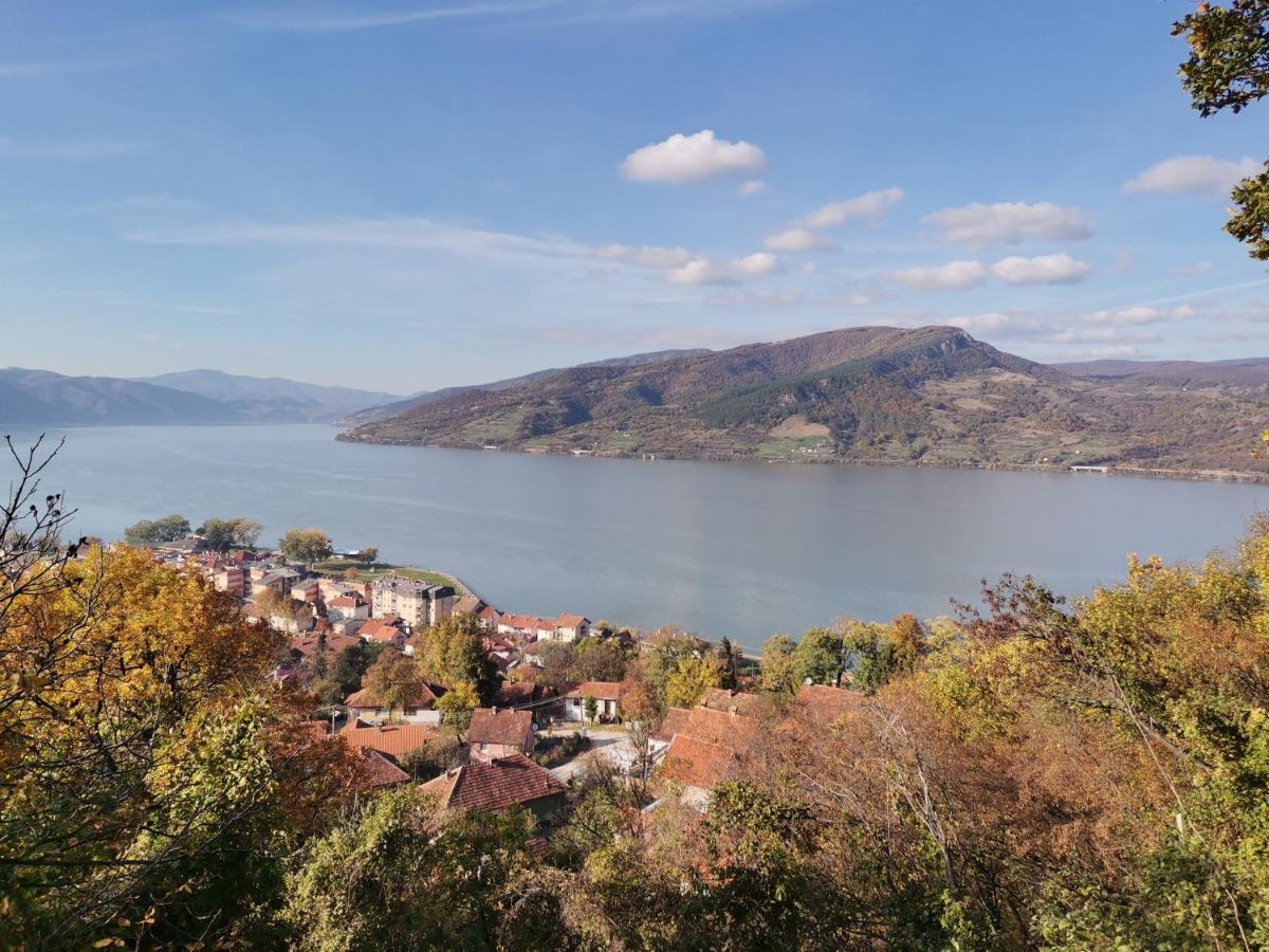Apartman Terassa Donji Milanovac Dış mekan fotoğraf
