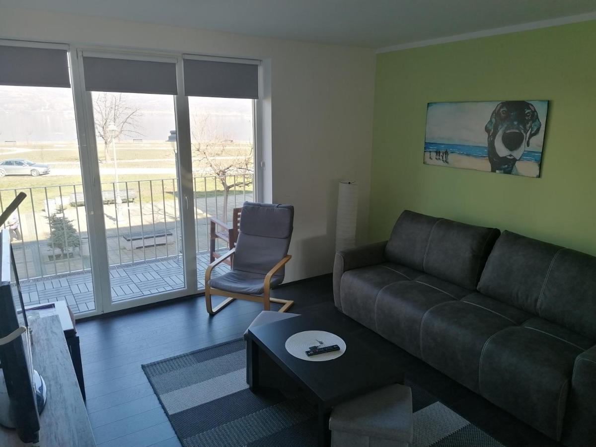 Apartman Terassa Donji Milanovac Dış mekan fotoğraf