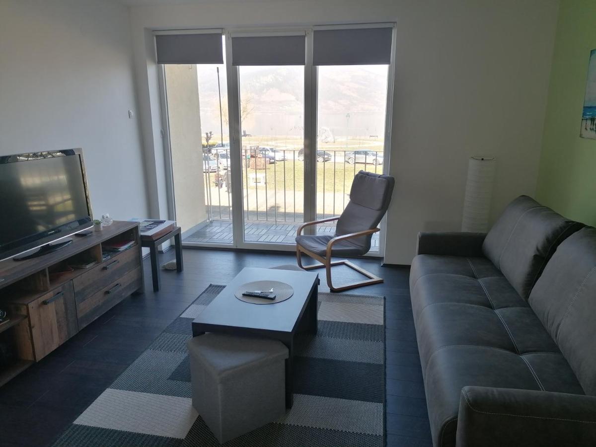 Apartman Terassa Donji Milanovac Dış mekan fotoğraf